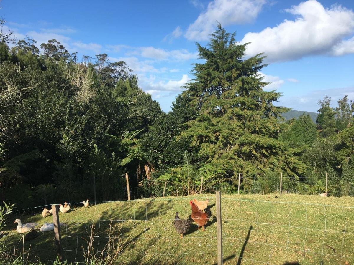 فيلا Bio Quinta Do Pantano, Agro Turismo Santo Antonio da Serra المظهر الخارجي الصورة