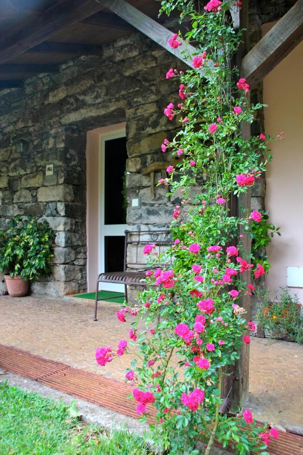فيلا Bio Quinta Do Pantano, Agro Turismo Santo Antonio da Serra المظهر الخارجي الصورة