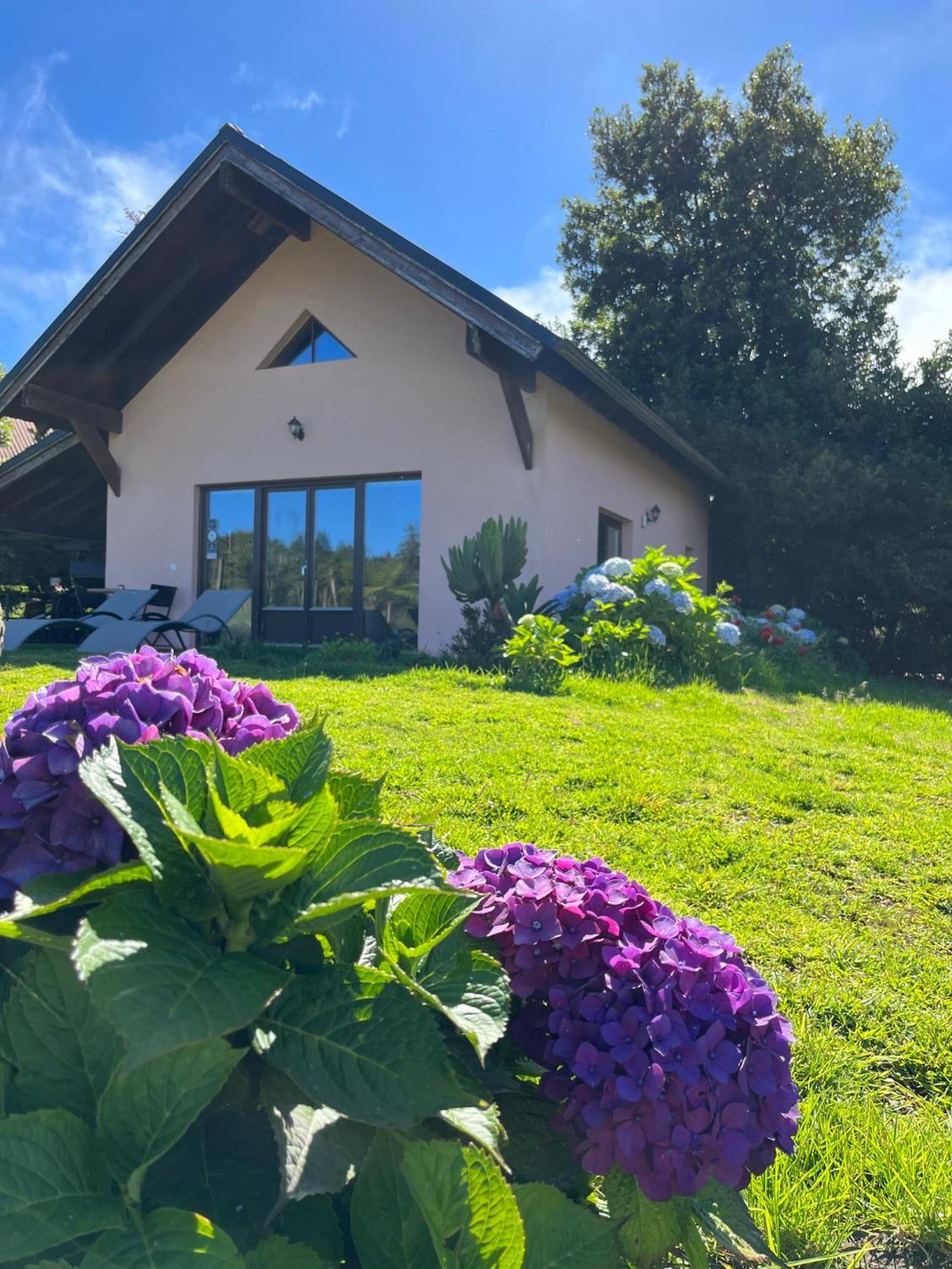 فيلا Bio Quinta Do Pantano, Agro Turismo Santo Antonio da Serra المظهر الخارجي الصورة