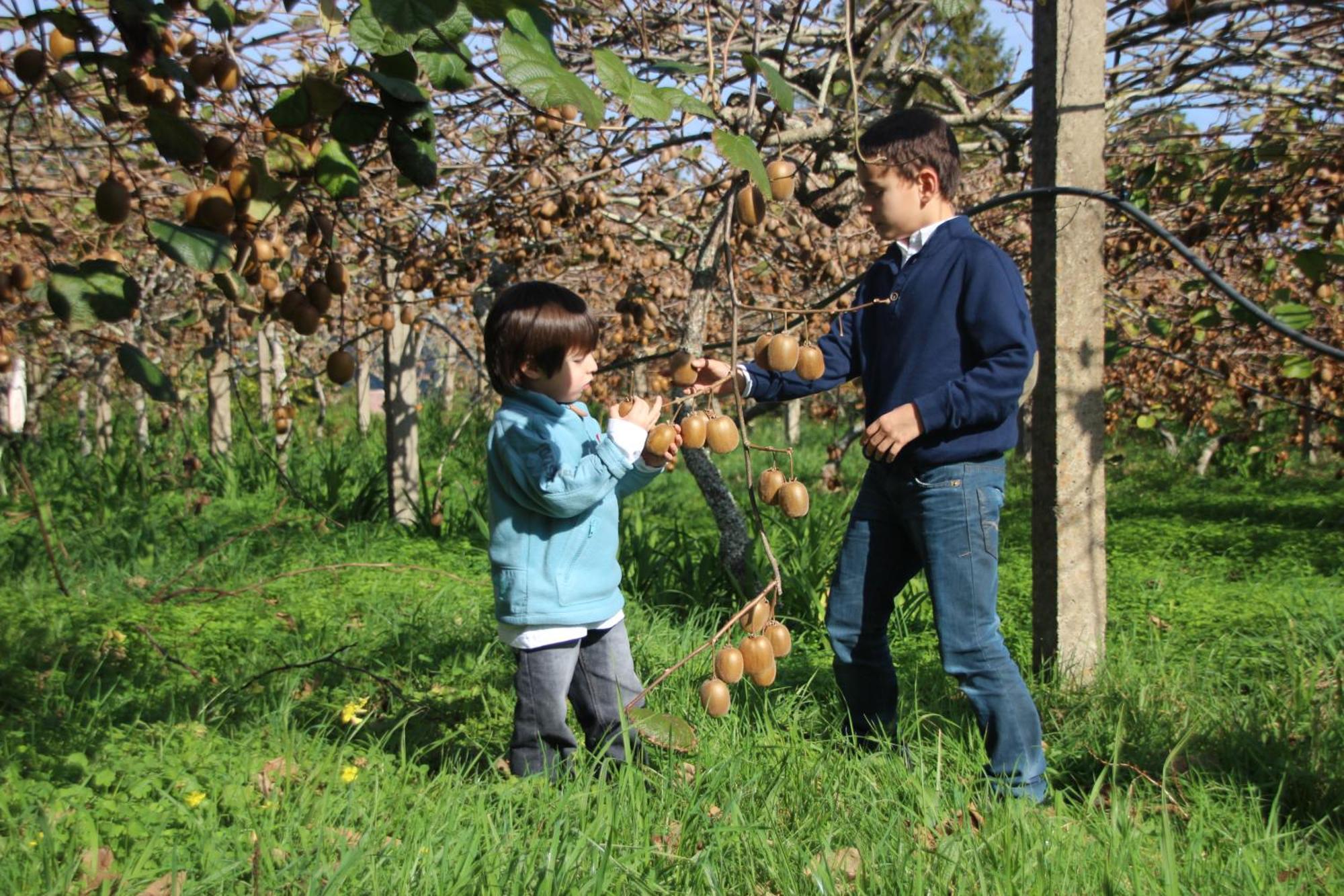 فيلا Bio Quinta Do Pantano, Agro Turismo Santo Antonio da Serra المظهر الخارجي الصورة